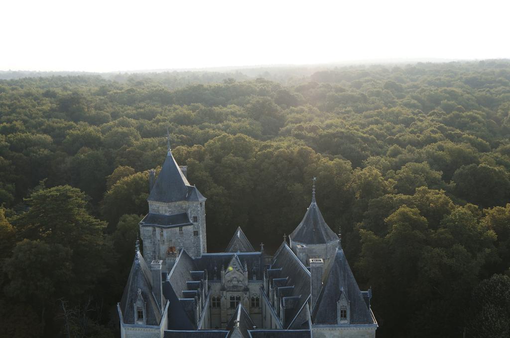 Chateau De Ternay Ternay  Exterior photo